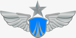空军军衔庄严肃立的空军标志高清图片