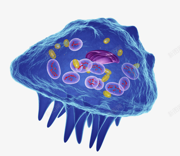 细胞特写电脑制图png免抠素材_新图网 https://ixintu.com 3D立体 医疗 卫生保健 生物学 细胞特写电脑制图 蓝色