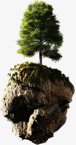 石头上的乌鸦浮空石头上的茂盛大树背景高清图片