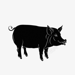 猪剪影手绘黑色的猪图标高清图片