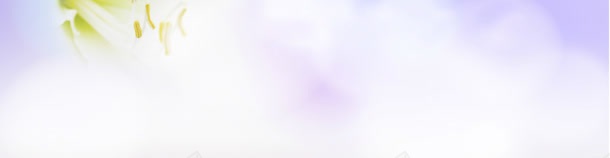 淡紫色jpg设计背景_新图网 https://ixintu.com 内衣 化妆品 女装背景 女裤 女鞋 海报背景 男装