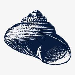 双壳贝类手绘海螺贝壳高清图片