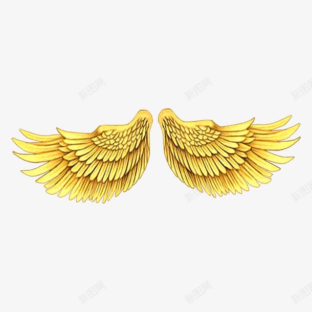 金色的翅膀png免抠素材_新图网 https://ixintu.com 翅膀素材 起飞 金鸡展翅 飞翔的羽翼