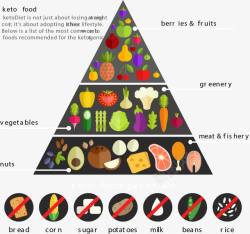 矢量食物链食物金字塔高清图片