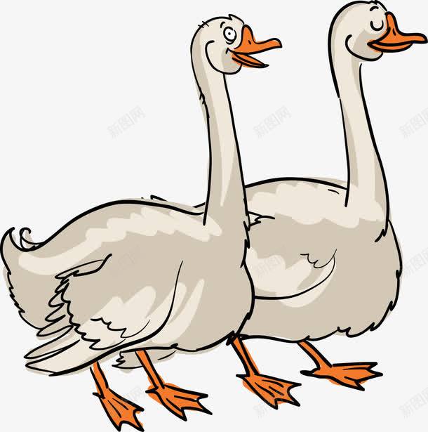两只大白鹅png免抠素材_新图网 https://ixintu.com 动物 卡通 可爱 大白鹅 家禽 插图 白天鹅 鹅