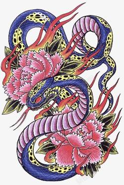 彩绘蛇图素材