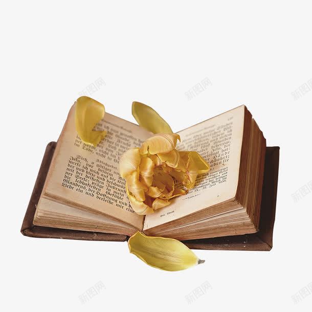 圣经上的花瓣png免抠素材_新图网 https://ixintu.com 圣经 最畅销的书 花瓣 黄花