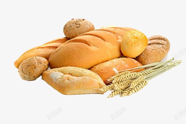 好吃的全麦面包png免抠素材_新图网 https://ixintu.com 好吃的全麦面包 成熟 面粉 食堂 高清免扣素材 麦串 麦制食品 麦子 麦穗 麦芽
