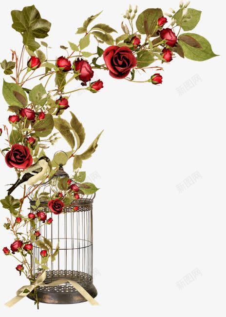 红玫瑰和鸟笼png免抠素材_新图网 https://ixintu.com 树叶 红玫瑰 鲜花 鸟笼