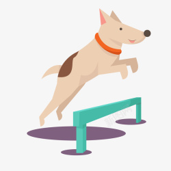 拟人和动物运动跳跨栏的小狗高清图片