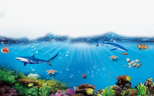海底png免抠素材_新图网 https://ixintu.com 水面 海底 海里 蓝色 装饰素材 鲨鱼
