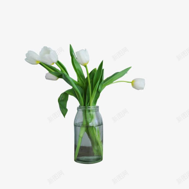 白花绿叶花瓶png免抠素材_新图网 https://ixintu.com 桌面摆台 花瓶 装饰物 鲜花