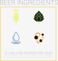 啤酒的成分信息图标图标