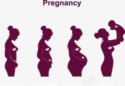 紫色孩子怀孕到诞生宝宝过程高清图片