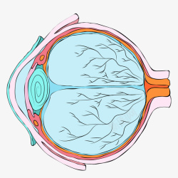 神经彩色手绘圆弧眼球元素矢量图高清图片