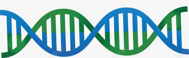 蓝绿色可爱DNA双螺旋图形png免抠素材_新图网 https://ixintu.com DNA双螺旋 PPT元素 简约 绿色 蓝色