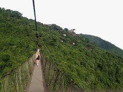 过桥游客三亚热带天堂森林公园高清图片