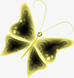 昆虫世界梦幻唯美荧光蝴蝶图高清图片