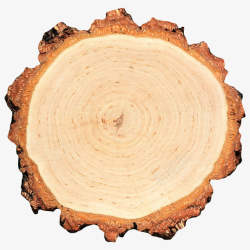 树皮纹理卡其色表面纹理模糊的木头截面实高清图片