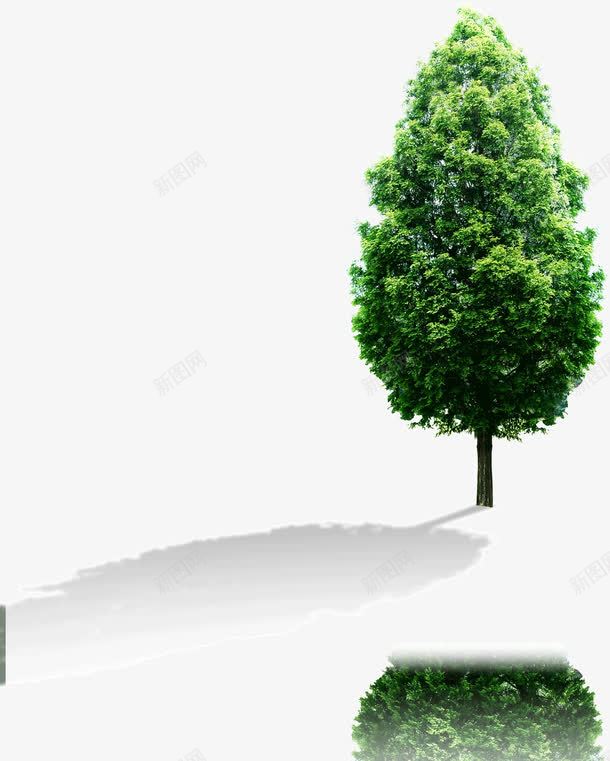 一棵绿树png免抠素材_新图网 https://ixintu.com 一棵 太阳下 影子 树木 绿树 绿色