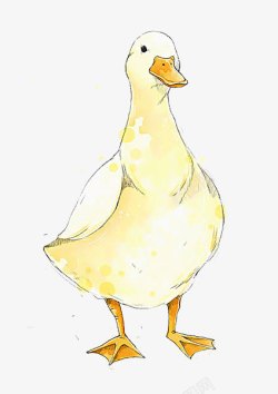 水彩素描白色鸭子高清图片