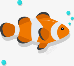 鱼泡泡海洋生物吐泡泡的鱼高清图片