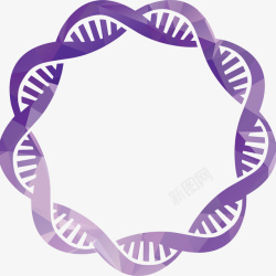 紫色DNA紫色卡通DNA结构图高清图片