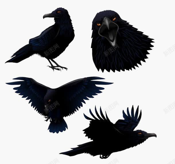 黑色的乌鸦png免抠素材_新图网 https://ixintu.com 乌鸦 乌鸦飞过 多个 装饰 部分