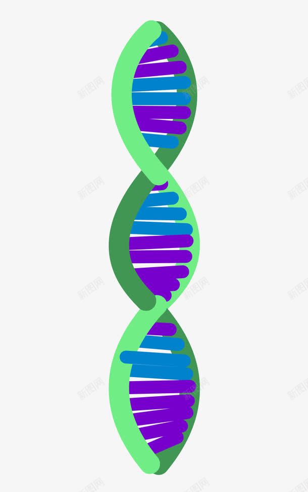 螺旋结构生物学png免抠素材_新图网 https://ixintu.com DNA 生物学 研究 科学 脱氧核糖核酸 螺旋 螺旋线 遗传学