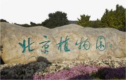 北京植物园景区北京植物园高清图片