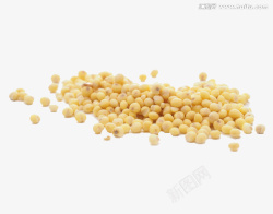 散开的大黄米大黄米高清图片