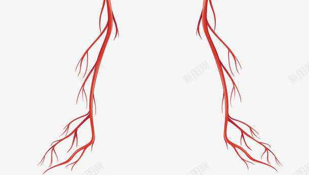 人体血液循环系统png免抠素材_新图网 https://ixintu.com 人体构造 人形轮廓 动静脉 血液循环 血液系统