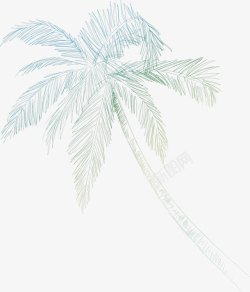 素描椰子树素材