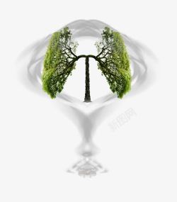 绿树形肺部与绿植高清图片