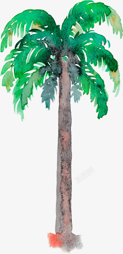 大树装饰画绿色手绘热带植物高清图片