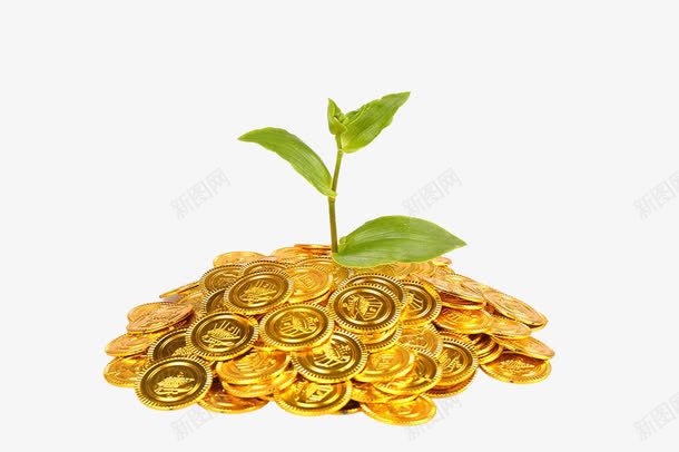 金币和植物png免抠素材_新图网 https://ixintu.com 发芽 实物 投资 绿色植物 货币 金币 金融