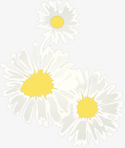 鲜艳美丽白色雏菊矢量图高清图片