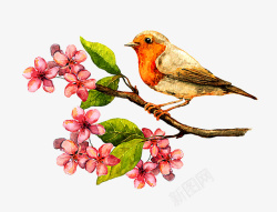 中国风动物手绘花鸟画高清图片