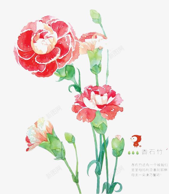 水彩手绘水仙花png免抠素材_新图网 https://ixintu.com ppt元素 插画 简约