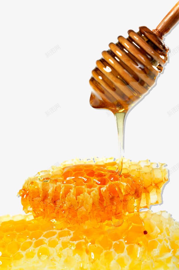 蜂蜜png免抠素材_新图网 https://ixintu.com 蔗糖 蜂胶 蜂蜜