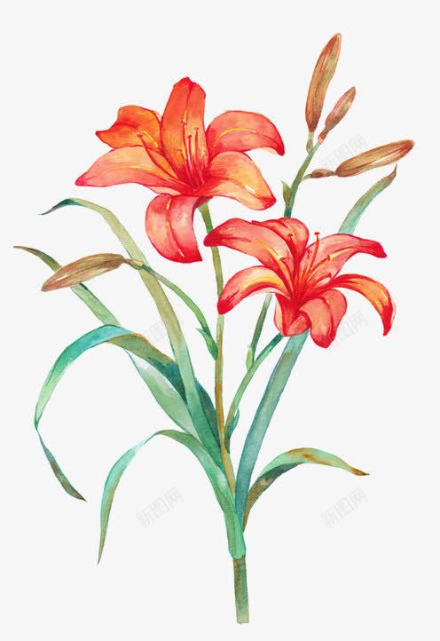 苗墨　水墨画 梅花 玉骨仙姿 青色背景 苗墨 水墨画 梅花 玉骨仙姿 青色背景 水墨画