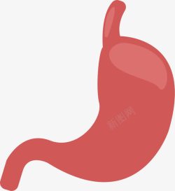 胃部简单手绘器官图素材