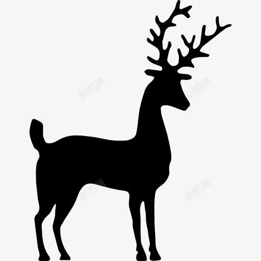 鹿的剪影图标png_新图网 https://ixintu.com 动物 动物王国 动物的轮廓 形状 美丽的鹿 轮廓 鹿 黑白的鹿