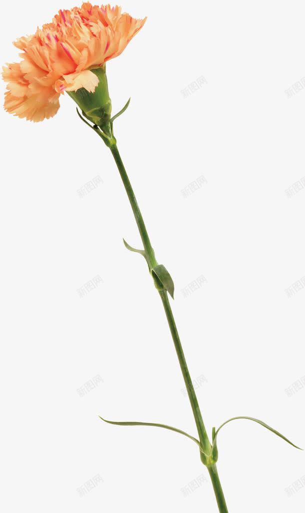 橙色的花朵浓浓的师生情海报png免抠素材_新图网 https://ixintu.com 师生 橙色 浓浓的 海报 花朵 设计