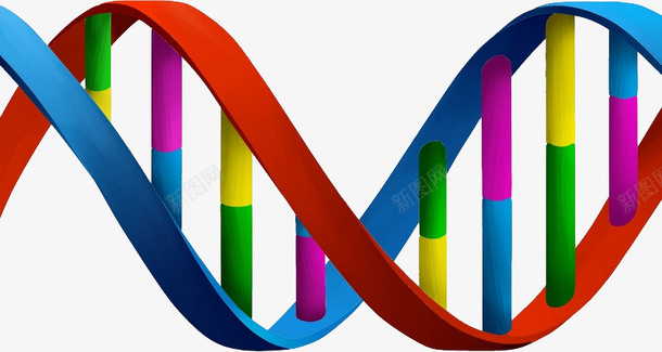 卡通彩色DNA结构图png免抠素材_新图网 https://ixintu.com DNA DNA结构图 免抠图 彩色DNA 抠图 插画 装饰画
