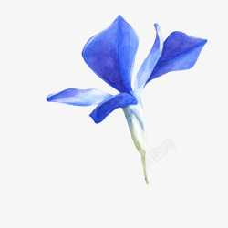 扁平花朵背景一朵手绘的蓝色兰花矢量图高清图片