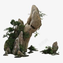 青蛙石头造型造型迥异的假山高清图片