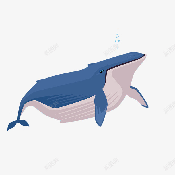 卡通一只可爱的巨大蓝色座头鲸插png免抠素材_新图网 https://ixintu.com 传奇 卡通 卡通一只可爱的巨大蓝色座头鲸插画免抠免费下载 巨大生物 座头鲸 探索 海洋 百科 科学 自然 蓝色