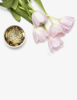 丝质植物背景图片粉色玫瑰高清图片