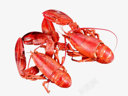 煮熟的龙虾龙虾油焖大虾高清图片